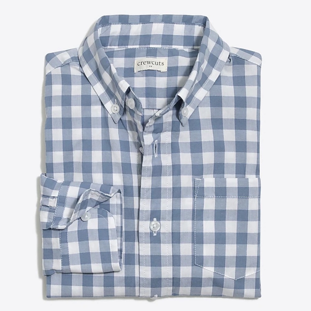 3T Crewcuts Blue Gingham Button-down Shirt